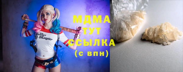 СК Алексин