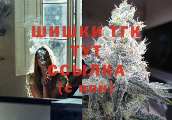 СК Алексин