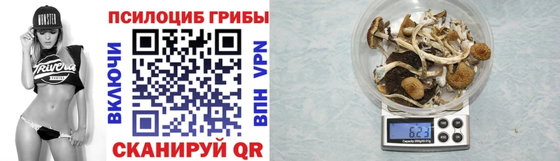 Галлюциногенные грибы Cubensis  Обнинск 
